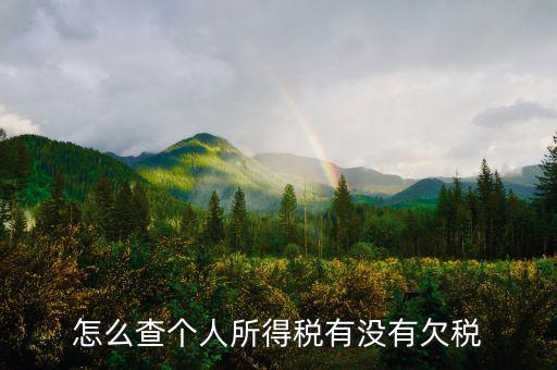 個(gè)人企業(yè)如何查欠稅啊，個(gè)體工商戶怎么查詢是否欠稅
