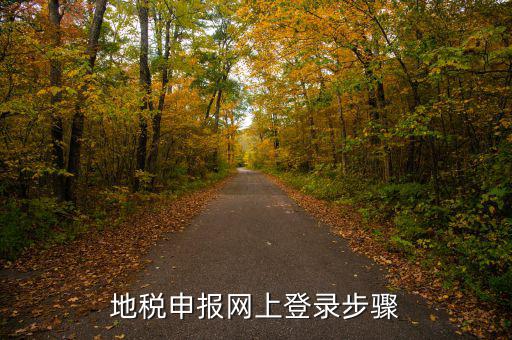 廣西國(guó)稅地稅如何網(wǎng)上申報(bào)，稅務(wù)申報(bào)如何網(wǎng)上申報(bào)