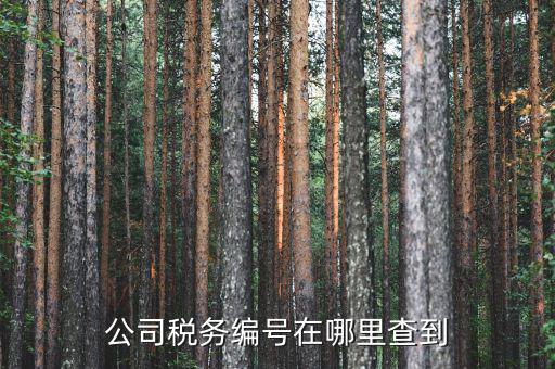 如何查遼寧省國(guó)稅局納稅識(shí)別號(hào)，跪求 在哪點(diǎn)能查詢到納稅人識(shí)別號(hào)