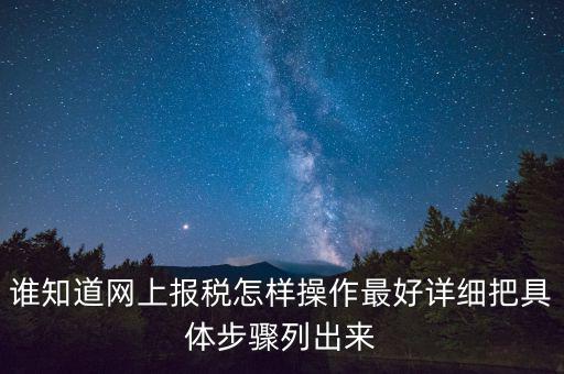 如何進行網(wǎng)上納稅申報，如何進行網(wǎng)上申報稅款