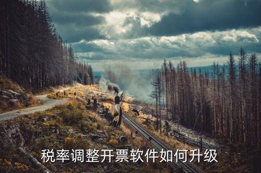 成品油企業(yè)開票系統(tǒng)如何升級，開票系統(tǒng)升級的步驟