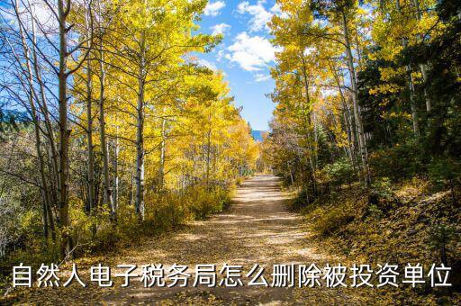 電子稅務局如何刪除不管的企業(yè)，電子稅務局網(wǎng)頁怎么清除企業(yè)稅號記錄