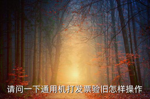 定額通用發(fā)票如何驗(yàn)舊，請(qǐng)問(wèn)一下通用機(jī)打發(fā)票驗(yàn)舊怎樣操作