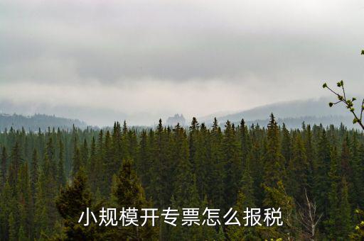 小規(guī)模開(kāi)專(zhuān)票怎么報(bào)稅