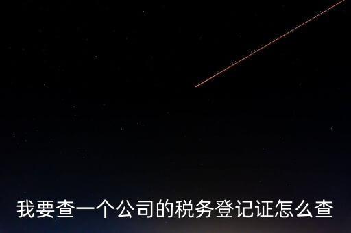 如何查企業(yè)的稅收記錄，想查一個(gè)公司的稅費(fèi)情況怎么查
