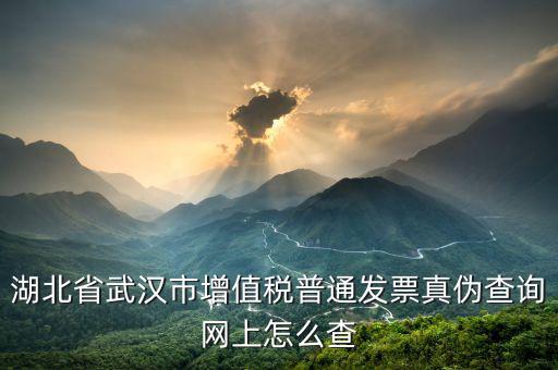 湖北省定額發(fā)票真?zhèn)稳绾尾樵兿到y(tǒng)，湖北地稅發(fā)票真?zhèn)尾樵兊降资鞘裁礀|西都查不到