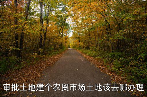 農(nóng)貿(mào)市場(chǎng)土地如何取得，審批土地建個(gè)農(nóng)貿(mào)市場(chǎng)土地該去哪辦理