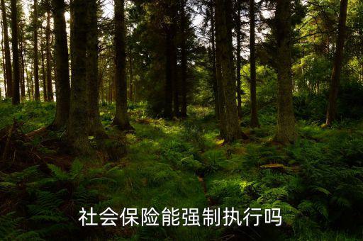 社會(huì)保險(xiǎn)費(fèi)如何執(zhí)行，社會(huì)保險(xiǎn)能強(qiáng)制執(zhí)行嗎