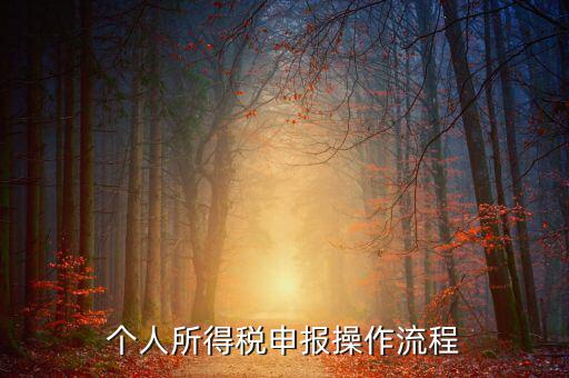 自然人所得稅如何安裝，個人所得稅如何進行申報和核算