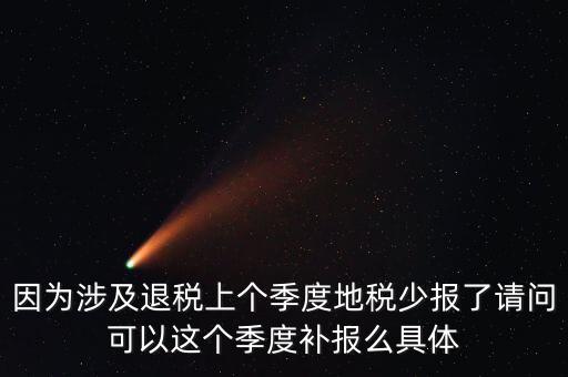 地稅如何補充申報，因為涉及退稅上個季度地稅少報了請問可以這個季度補報么具體