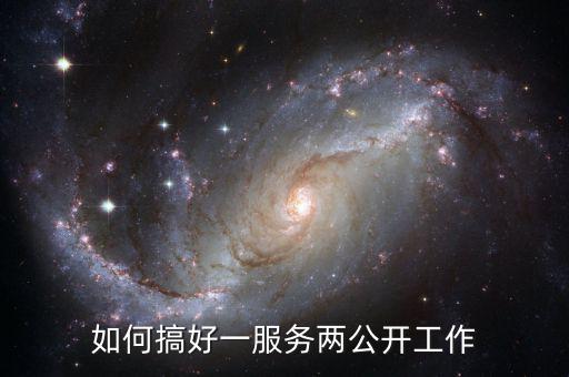 如何推進(jìn)一案雙查工作，如何搞好一服務(wù)兩公開工作