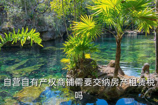 自有商鋪如何繳租賃稅，自有商鋪 是否交出租稅