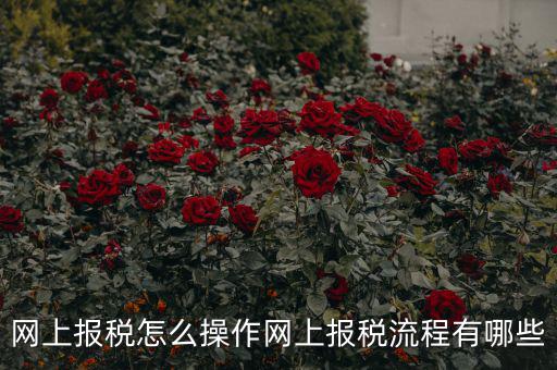 江蘇省網(wǎng)上稅務(wù)局如何報(bào)稅，網(wǎng)上報(bào)稅怎么操作網(wǎng)上報(bào)稅流程有哪些