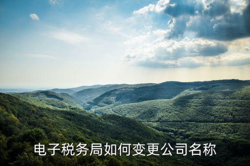 國稅系統(tǒng)如何更改公司，自然人電子稅務局怎么更換企業(yè)