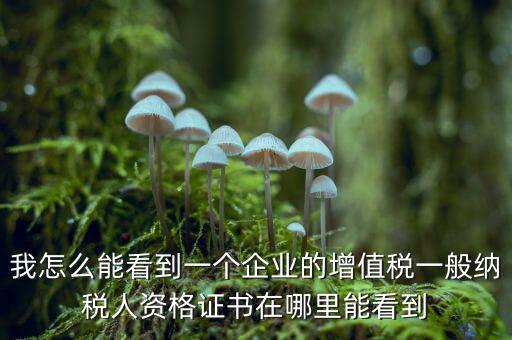 增值稅一般納稅人資格如何查詢，重慶國稅網(wǎng)如何查詢企業(yè)是否一般納稅人