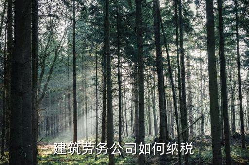 建筑勞務(wù)如何征稅，建筑勞務(wù)公司如何納稅