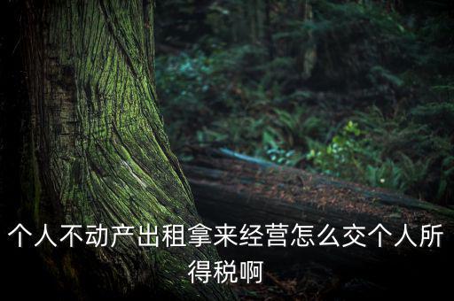 個人出租不動產(chǎn)如何納稅，個人房產(chǎn)出租應(yīng)如何納稅 住宅可按5稅率征收