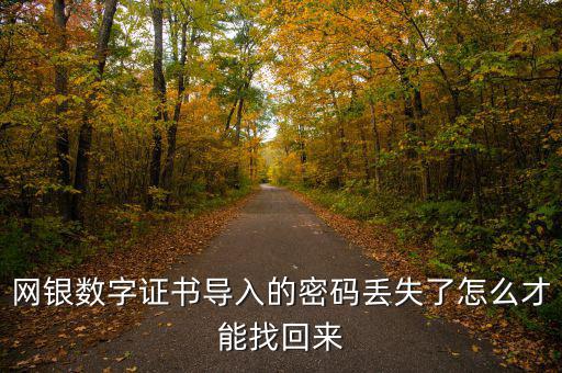 數(shù)字證書密碼錯誤如何找回，營業(yè)執(zhí)照數(shù)字證書密碼忘記了 怎么辦
