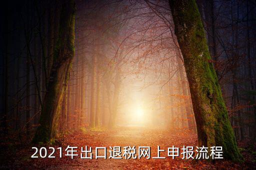 如何登錄出口退稅網(wǎng)，出口退稅申報流程操作