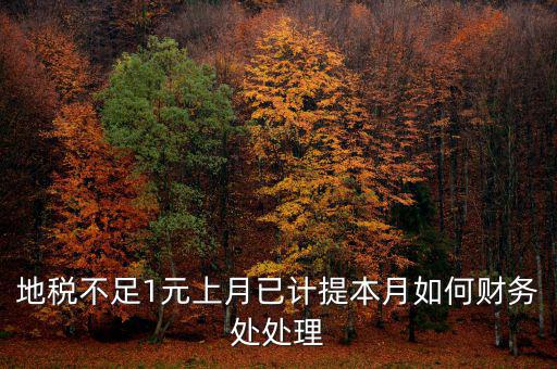 財務(wù)處如何落實數(shù)據(jù)地稅，地稅不足1元上月已計提本月如何財務(wù)處處理