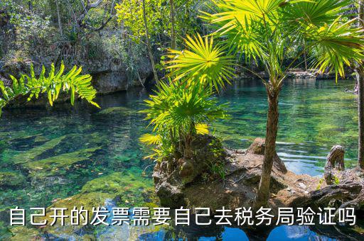 如何去稅務(wù)局驗(yàn)證發(fā)票嗎，發(fā)票怎么去稅務(wù)局驗(yàn)證需要什么資料