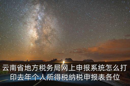 云南省地方稅務局網(wǎng)上申報系統(tǒng)怎么打印去年個人所得稅納稅申報表各位