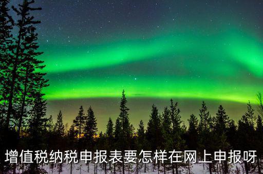 增值稅網(wǎng)上如何申報系統(tǒng)，增值稅納稅申報表要怎樣在網(wǎng)上申報呀