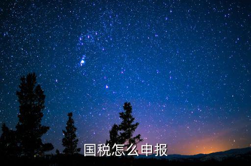 北京國稅如何登陸申報(bào)，國稅如何網(wǎng)上零申報(bào) 具體步驟有五個(gè)