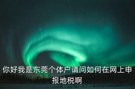 東莞?jìng)€(gè)稅如何申報(bào)，你好我是東莞?jìng)€(gè)體戶請(qǐng)問如何在網(wǎng)上申報(bào)地稅啊