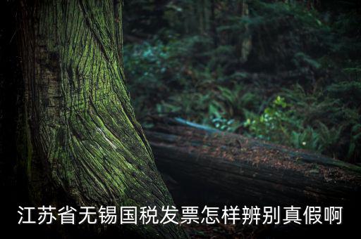 如何查詢(xún)無(wú)錫國(guó)稅發(fā)票真?zhèn)尾樵?xún)，江蘇省無(wú)錫國(guó)稅發(fā)票怎樣辨別真假啊