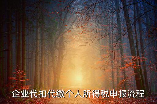 網(wǎng)上如何進入代扣代繳申報，企業(yè)代扣代繳個人所得稅申報流程