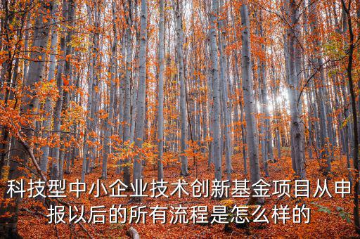 科技型優(yōu)惠如何備案，研發(fā)費用加計扣除優(yōu)惠備案的要點有哪些