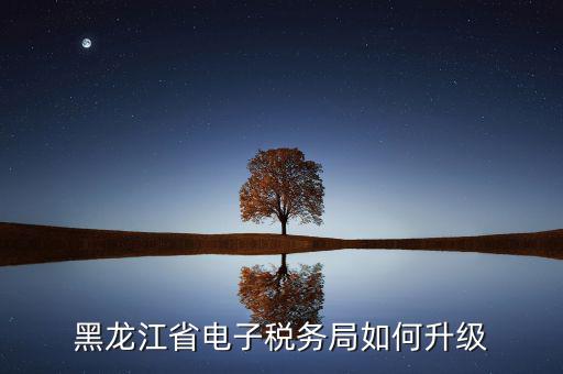 如何升級(jí)國(guó)稅系統(tǒng)，河南省電子稅務(wù)局版本過低怎么升級(jí)