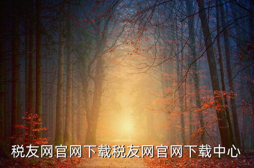 稅友如何下載，個稅在稅友網(wǎng)上下載下來了然后怎么安裝
