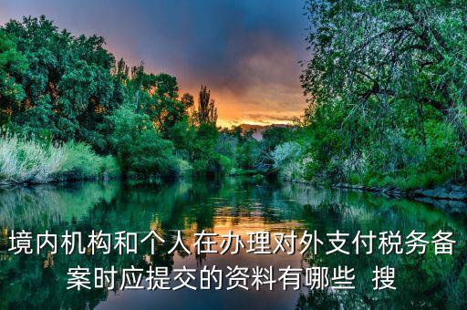 如何填列對(duì)外支付稅務(wù)備案表，境內(nèi)機(jī)構(gòu)和個(gè)人在辦理對(duì)外支付稅務(wù)備案時(shí)應(yīng)提交的資料有哪些  搜