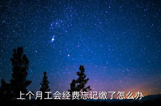 如何補(bǔ)繳上月工會(huì)經(jīng)費(fèi)地稅，工會(huì)經(jīng)費(fèi)上月已申報(bào)但未繳費(fèi)本月可以補(bǔ)交嗎在哪里補(bǔ)交是在報(bào)稅系統(tǒng)