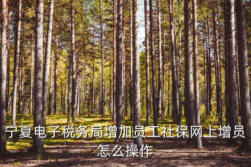寧夏電子稅務系統(tǒng)如何開通，開通電子稅務局需要帶些什么東西去稅務局才能開通