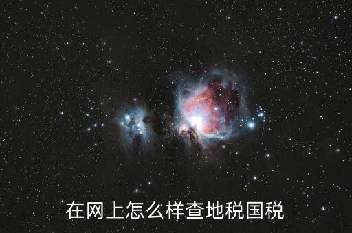 如何查國(guó)地稅是否正常，在網(wǎng)上怎么樣查地稅國(guó)稅