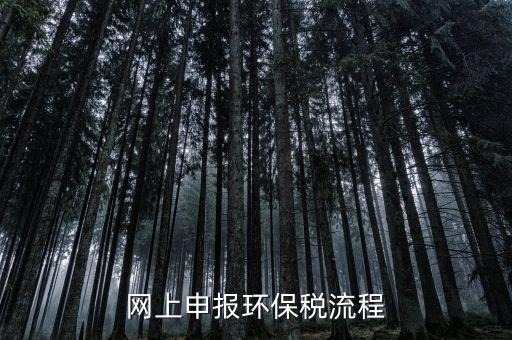 電子稅務(wù)局環(huán)保稅如何申報(bào)，2021年環(huán)保稅怎么申報(bào)