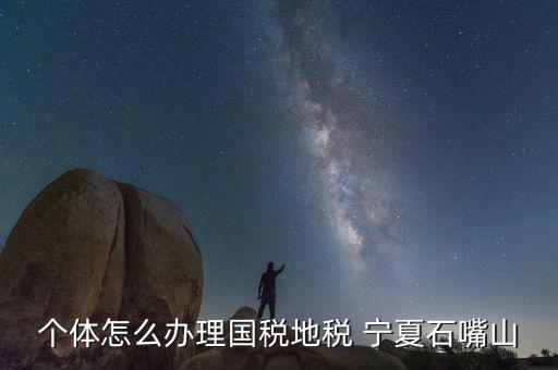 寧夏個稅如何申報，個體怎么辦理國稅地稅 寧夏石嘴山