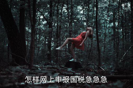 國稅網(wǎng)上稅務(wù)如何申報，怎樣網(wǎng)上申報國稅急急急