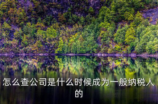 如何查詢一般人納稅認(rèn)定時(shí)間，怎么查公司是什么時(shí)候成為一般納稅人的