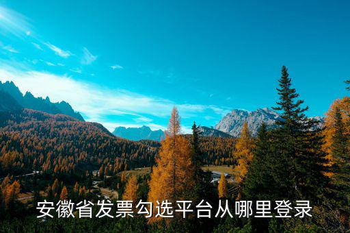安徽省如何在網上申請購發(fā)票，安徽省發(fā)票勾選平臺從哪里登錄