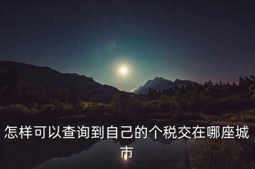 如何查詢個(gè)人所得稅所交地點(diǎn)，怎樣可以查詢到自己的個(gè)稅交在哪座城市