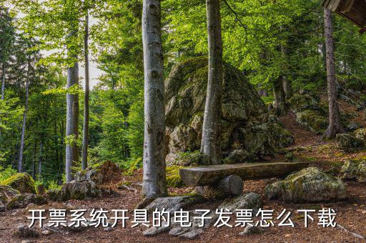 發(fā)票助手如何安裝在手機(jī)上，增值稅發(fā)票稅控開(kāi)票軟件怎么安裝