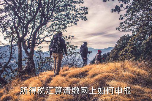 清稅申請如何在云稅廳申請，網(wǎng)上企業(yè)所得稅匯算清繳如何申報