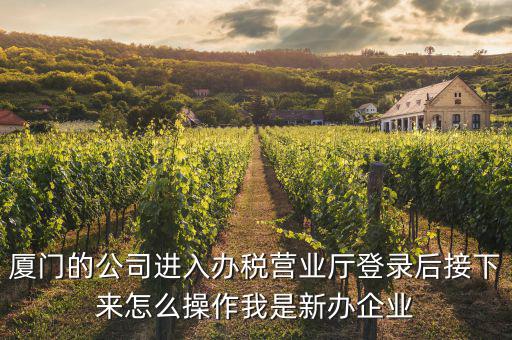 廈門公司如何辦理稅務(wù)，廈門公司如何申請(qǐng)一般納稅人