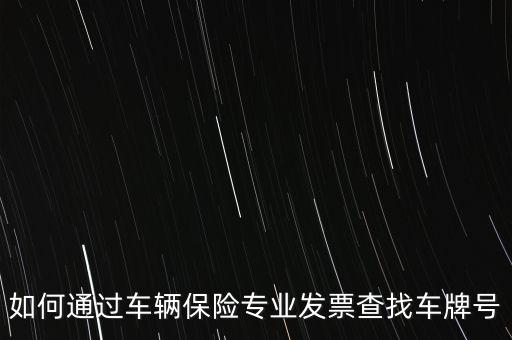 如何通過車輛保險(xiǎn)專業(yè)發(fā)票查找車牌號