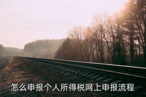 泉州個(gè)人所得稅如何網(wǎng)上申報(bào)，個(gè)人所得稅網(wǎng)上申報(bào)步驟