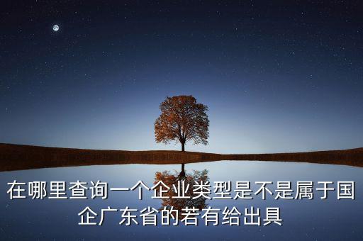 單位類(lèi)型如何查詢，如何查詢企業(yè)管理類(lèi)別